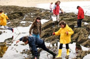 enfants activité pêche dans les rochers bretagne