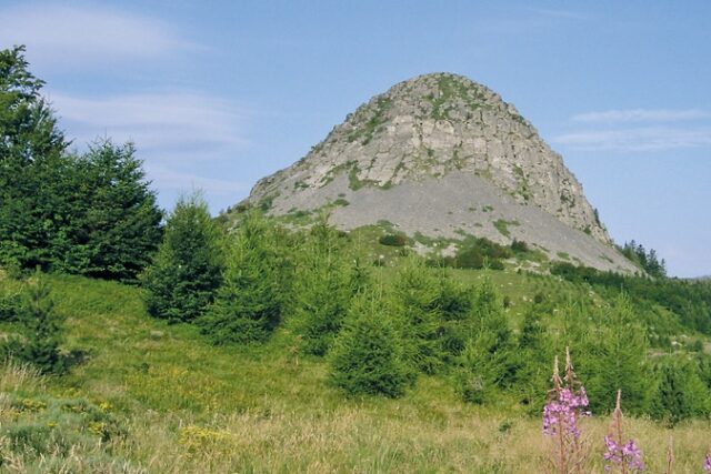 Image mont Gerbier Classe de découvertes Côté Découvertes