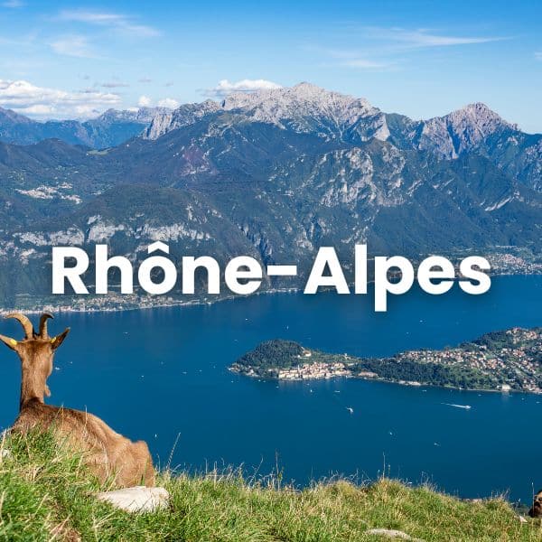 chamois sur montagne au dessus du lac rhône-alpes