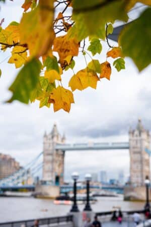 Pont Tower Bridge à Londres en automne