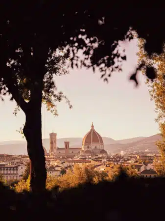 vue lointaine de la cathédrale santa maria à Florence en Italie