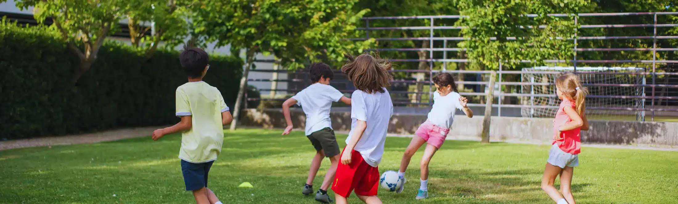 élèves activité classes découvertes sportives