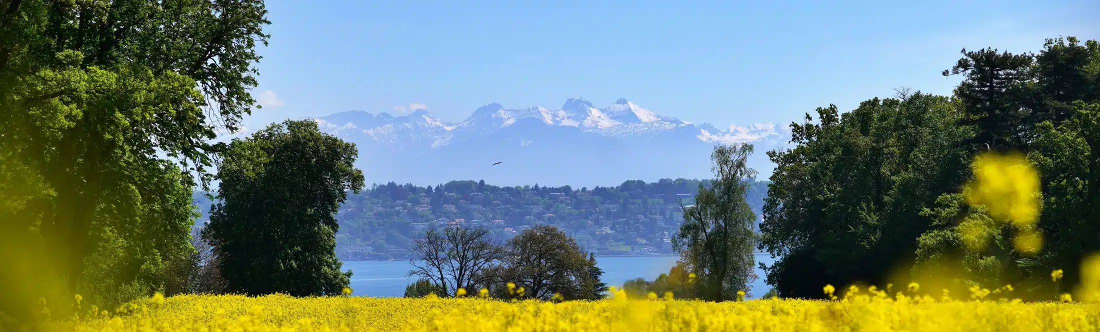 classes découvertes en Auvergne Rhône-Alpes