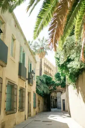 Rue ensoleillée avec palmiers en Espagne