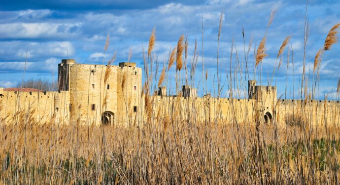 rempart aigues-mortes roseaux camargue