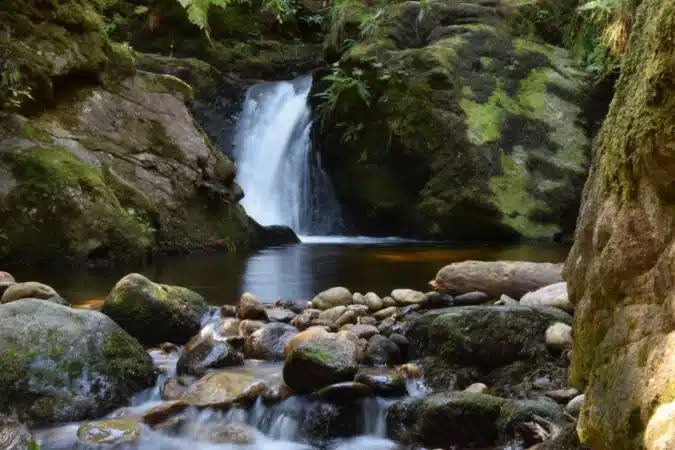 rivière projet nature et environnement