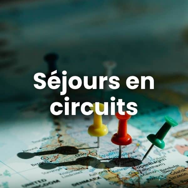 carte du monde avec pins voyage en circuit